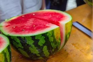 圣翰学校吃瓜,揭秘校园里的“瓜田”风云