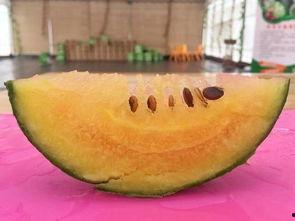 奇瓜教瓜怎么吃,教您如何品尝奇瓜的独特风味