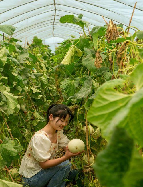 躺花田里吃瓜,悠然自得，尽享夏日吃瓜时光
