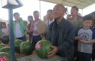 霍州吃瓜群众,吃瓜群众的欢乐时光