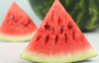 豆豆吃瓜西瓜,一场甜蜜的夏日邂逅