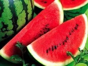 吃瓜都有什么,揭秘吃瓜背后的趣味与真相