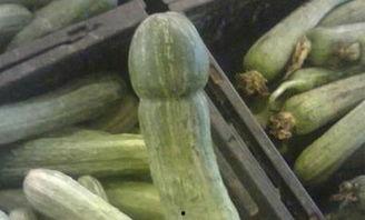 吃瓜各种游戏图片,游戏图片里的欢乐时光