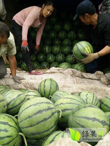 邹城最新吃瓜新闻,揭秘某事件背后惊人真相