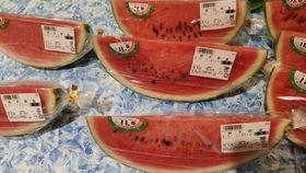 正直吃瓜的人,洞察世间百态