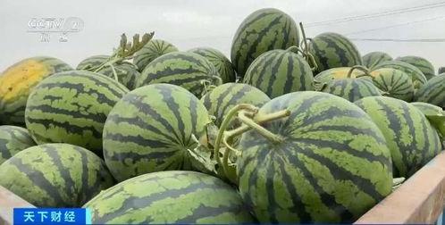 来老地方吃瓜,探寻夏日消暑美食之旅