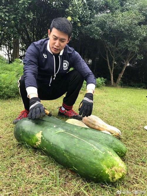 搞笑吃瓜文,笑料百出！盘点那些让人捧腹大笑的吃瓜瞬间