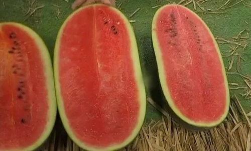 如何精准快速吃瓜,揭秘精准快速吃瓜攻略