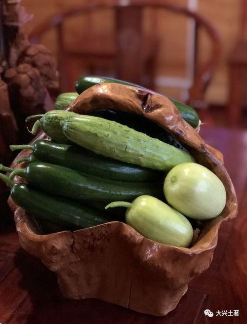 如何精准快速吃瓜,揭秘精准快速吃瓜攻略