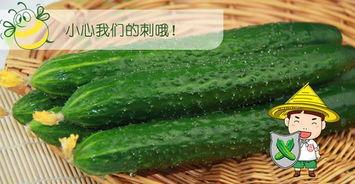 权威吃瓜,权威吃瓜，带你领略明星幕后真相