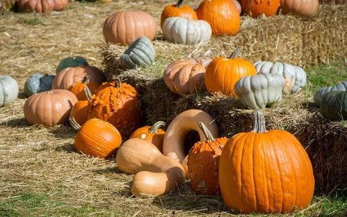 核工业吃瓜,揭秘我国核工业发展背后的故事