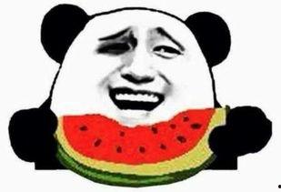 疯批吃瓜,揭秘娱乐圈的疯狂瓜田