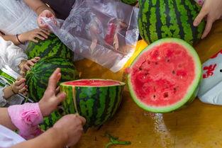 安徽吃瓜视频,揭秘当地美食文化，带你领略风味人生