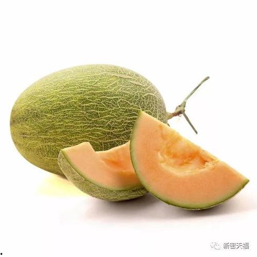 哈密瓜和螺蛳能一起吃吗,哈密瓜与螺蛳同食的饮食禁忌解析