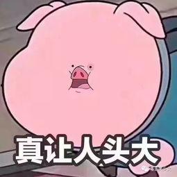 吃瓜群众的一天图片高清,高清图解生活百态