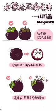 法语吃瓜正确方法,优雅品尝瓜果的艺术